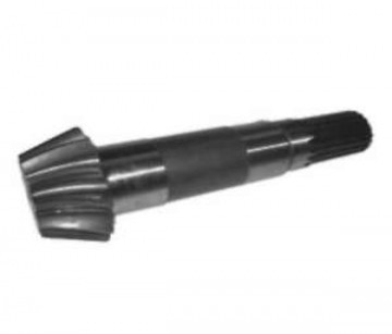 PIÑON